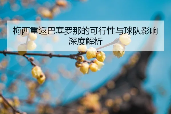 mei-xi-chong-fan-ba-sai-luo-na-de-ke-xing-xing-yu-qiu-dui-ying-xiang-shen-du-jie-xi-2-620.jpg